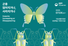 곤충, 작지만 강한 존재의 이유 알려드려요