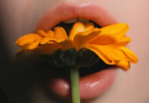 “입 냄새가 너무 신경 쓰여요”… 잘못된 위장 기능이 원인일 수 있습니다 a hand holding a yellow flower